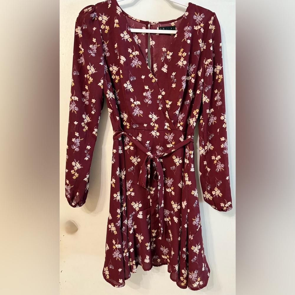 Francesca's Collections Burgundy Floral Mini Dress